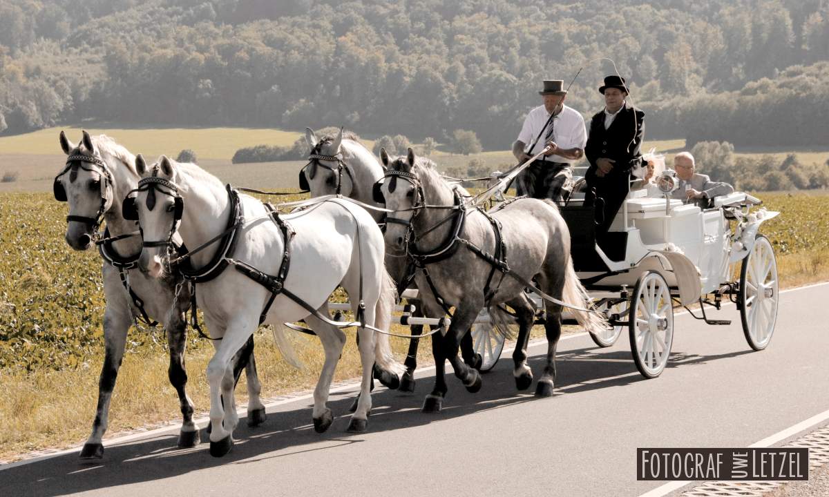 Hochzeitsauto mieten in Grimma - Hochzeitsfahrt zum Kloster Nimbschen und zur Hochzeitsfeier in der Schiffsmhle Hfgen